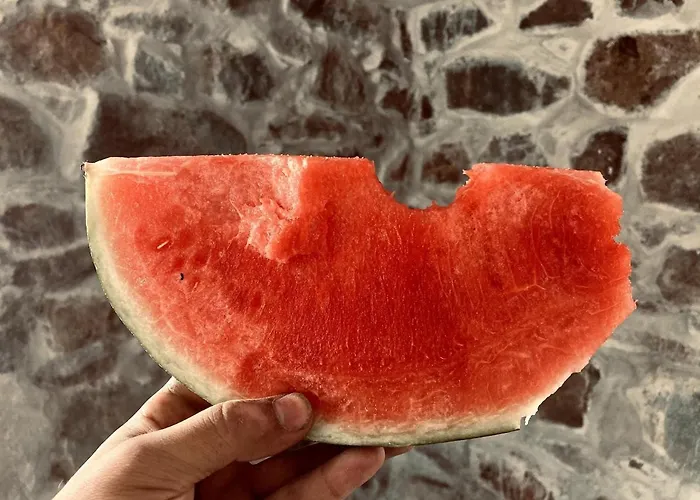 Filistrina Villa Jaszna Poljana