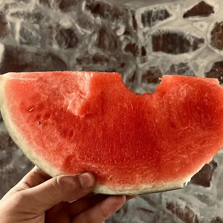 Filistrina Villa Yasna Polyana