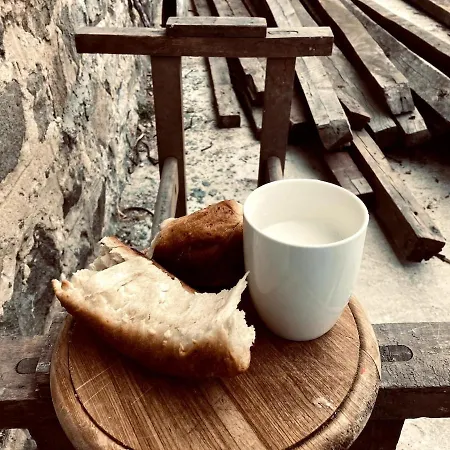 Filistrina Yasna Polyana