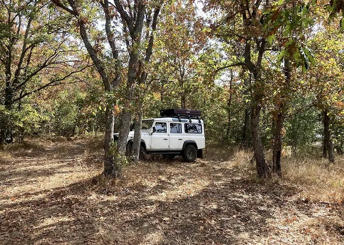 Filistrina Villa Yasna Polyana